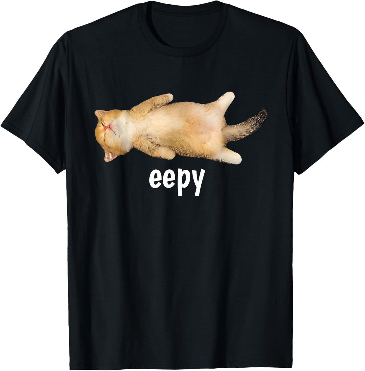 Eepy Cat Meme Funny Sleepy Cat Viral Gen Z Sarcastic Humor T-Shirt